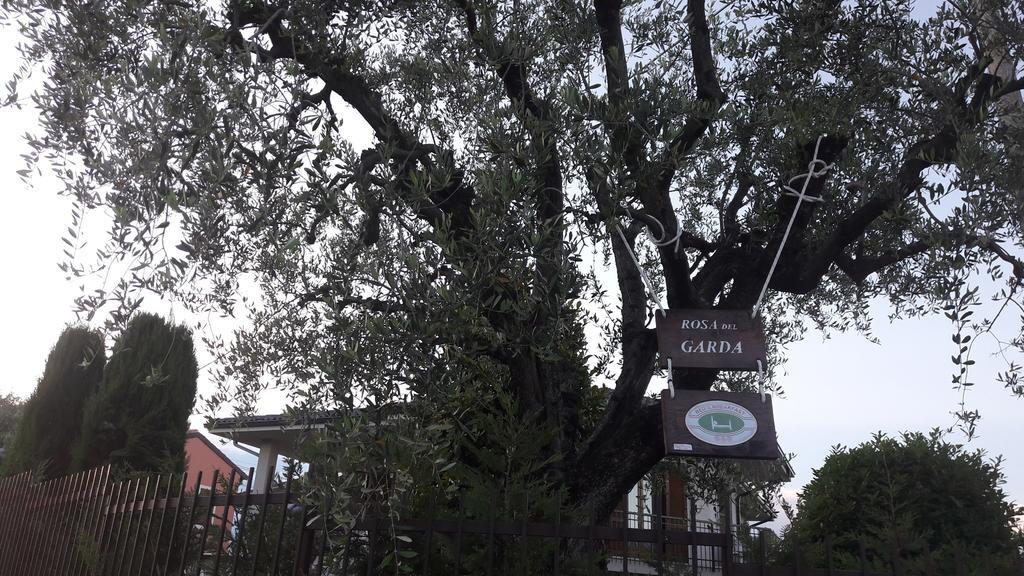 B&B Rosa Del Garda Lazise Exteriör bild